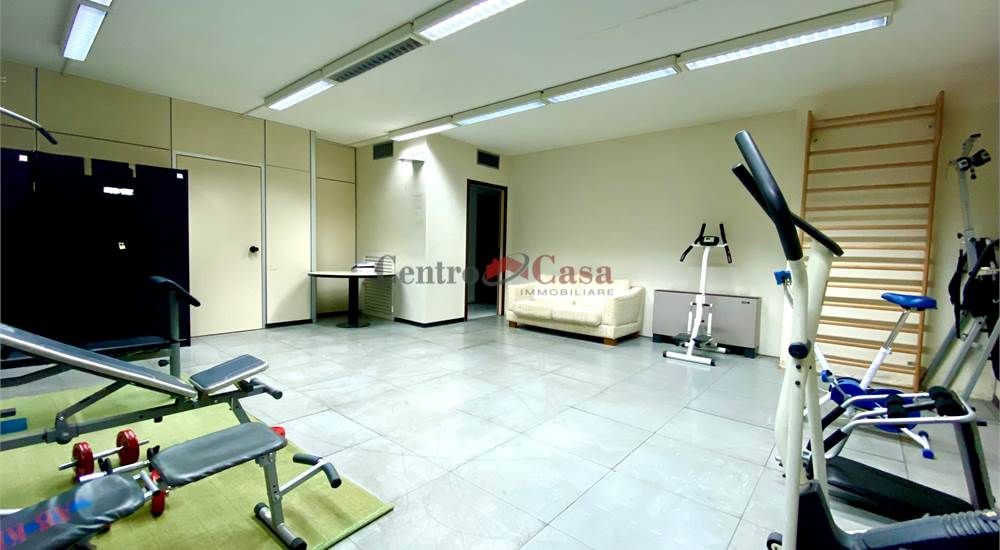 Palestra