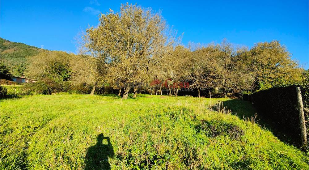 Terreno privato