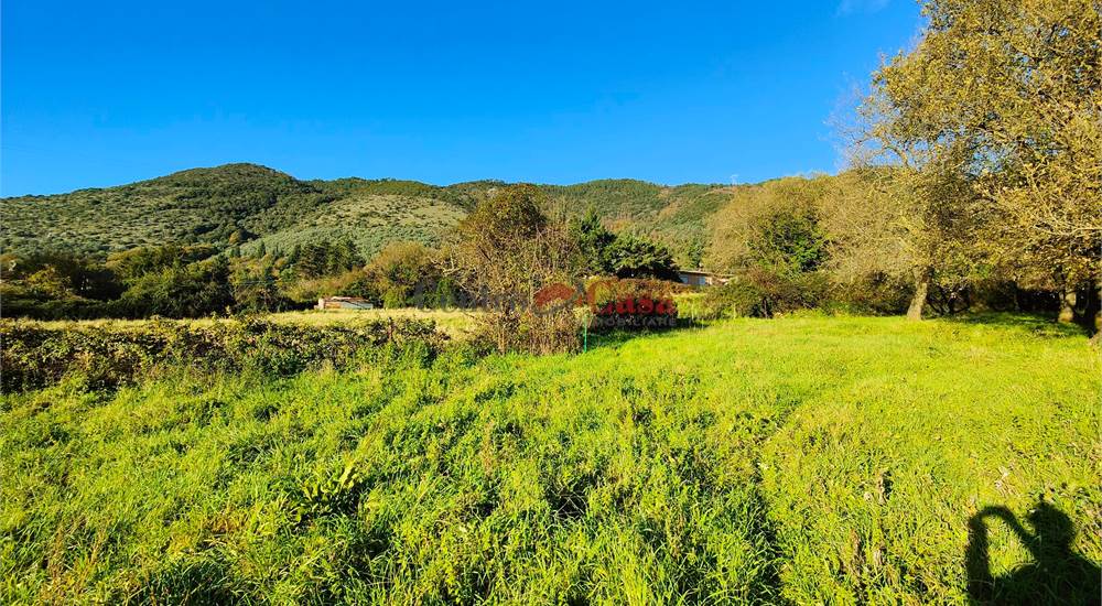Terreno privato