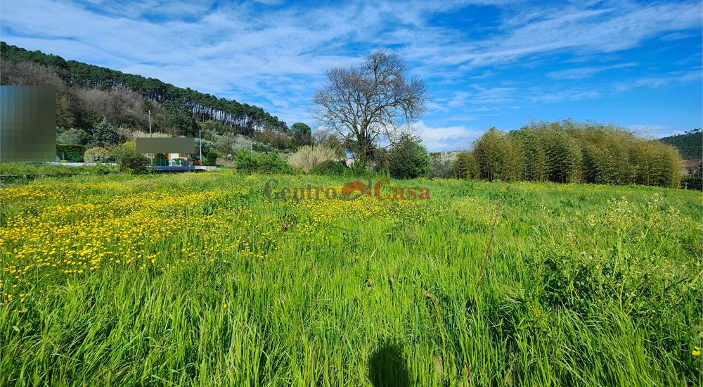 Terreno 1660 mq.