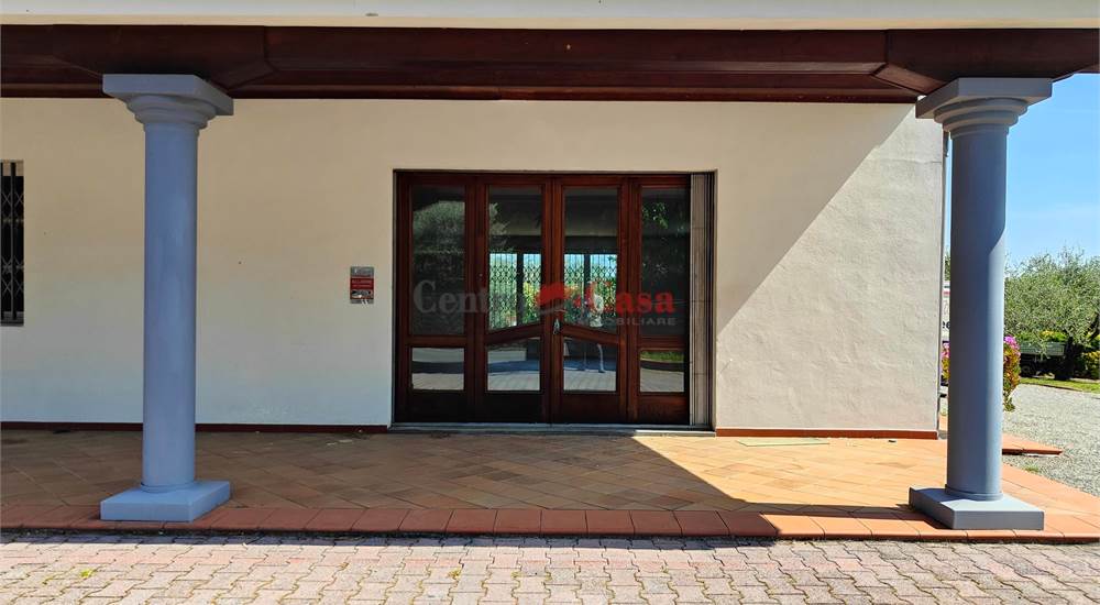 Ingresso